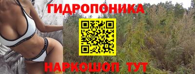 винт Партизанск