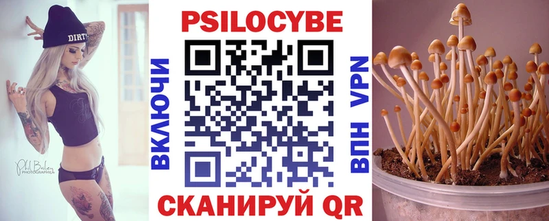Псилоцибиновые грибы прущие грибы Нижний Тагил