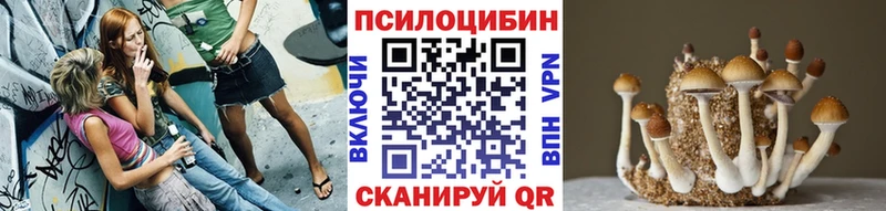 blacksprut ССЫЛКА  Нижний Тагил  Галлюциногенные грибы MAGIC MUSHROOMS 