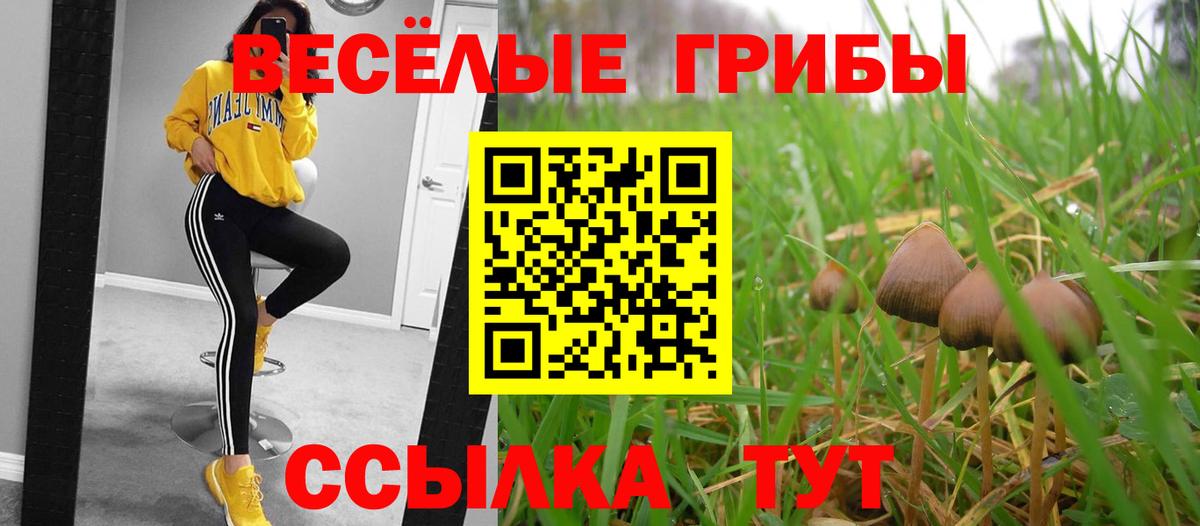 продажа наркотиков  Галлюциногенные грибы GOLDEN TEACHER  Вход с VPN  Нижний Тагил  Псилоцибиновые грибы мухоморы 